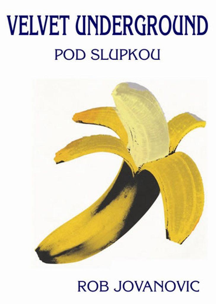 nahrávám obrázek