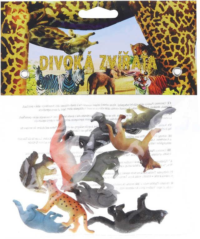 nahrávám obrázek