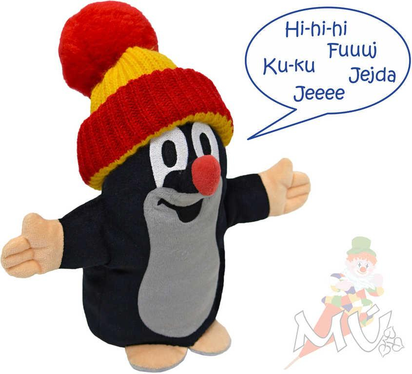 nahrávám obrázek