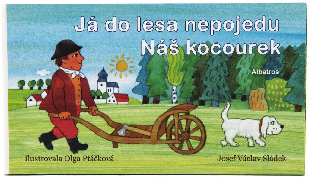 nahrávám obrázek