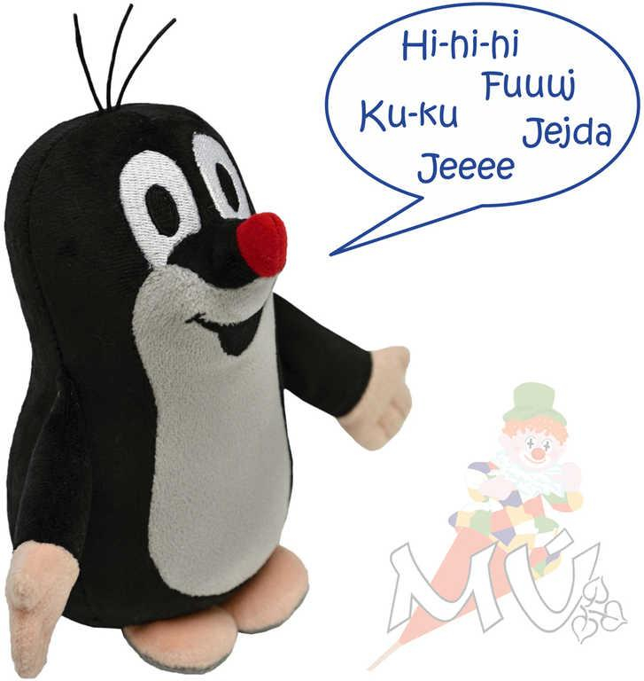 nahrávám obrázek