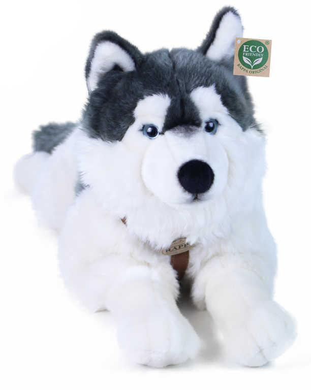 PLYŠ Pes husky s obojkem 60cm ležící Eco-Friendly *PLYŠOVÉ HRAČKY*