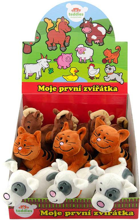 nahrávám obrázek