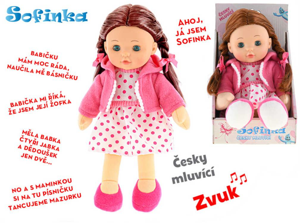 nahrávám obrázek
