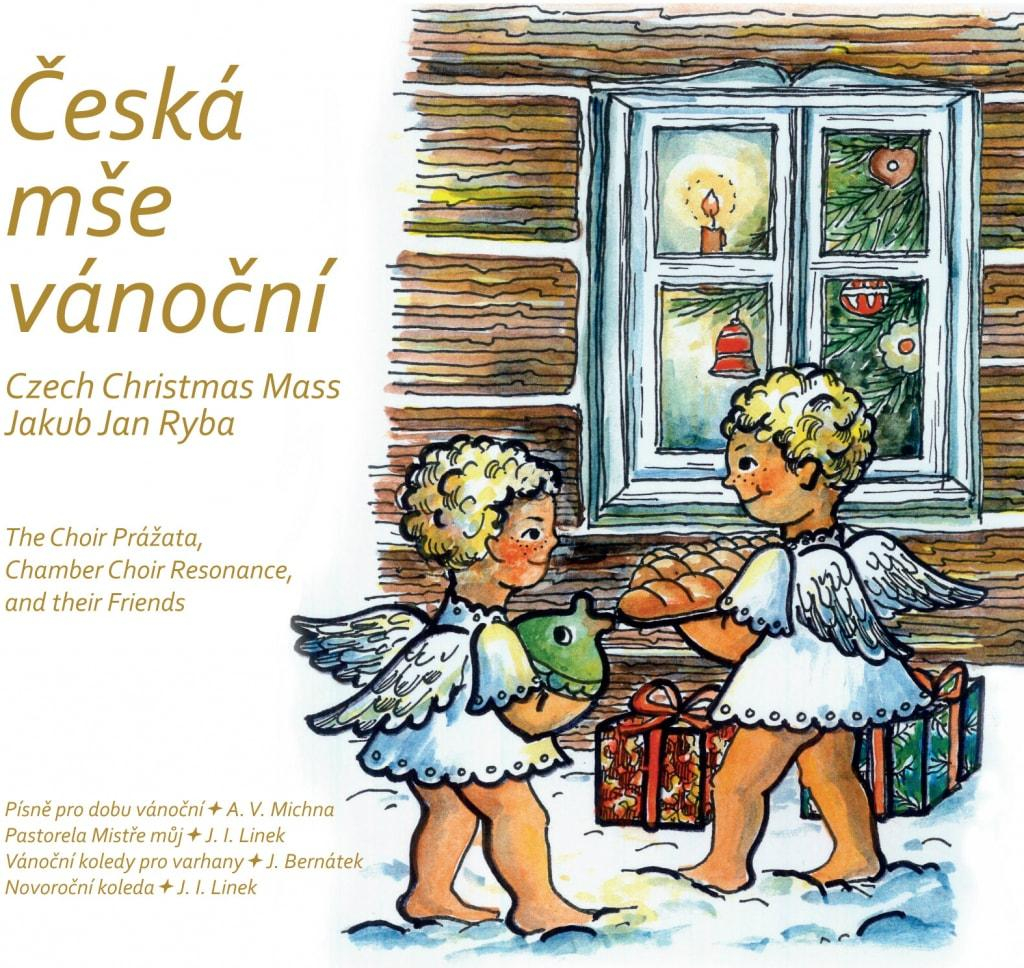 nahrávám obrázek