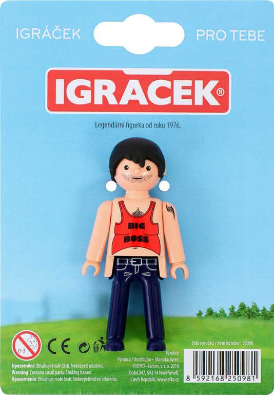 nahrávám obrázek